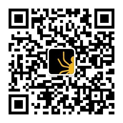 2021蜘蛛矿池打开矿业投资新局面