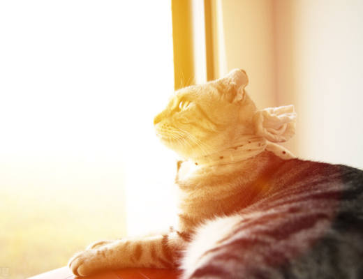 状元论币:3月8日比特币行情分析 BTC多空胶着,静待时机