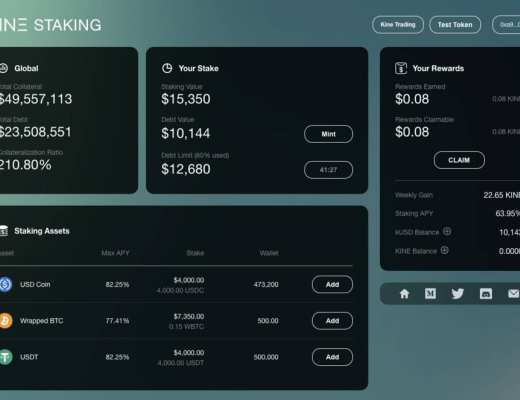 手把手教你参加 Kine Protocol 测试