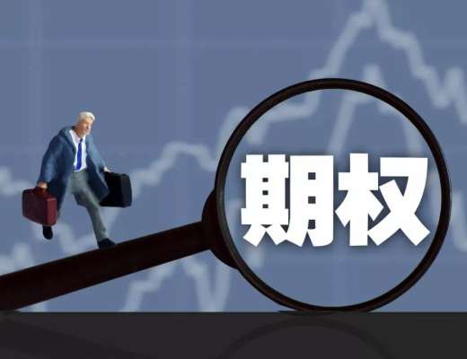 主打去中心化期权市场—为什么Seaweed值得关注？