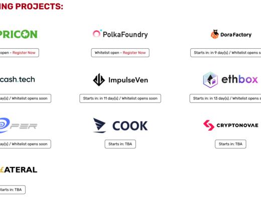 IDO正火 一文了解主流IDO平台运行模式