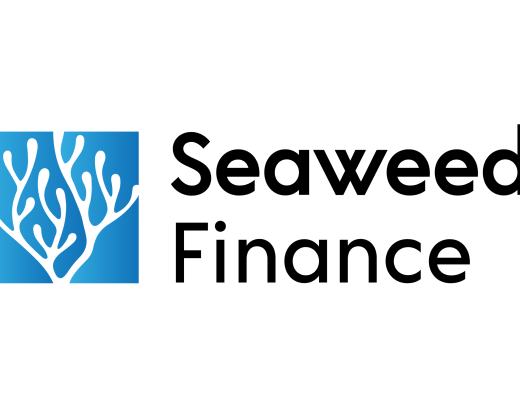 主打去中心化期权市场—为什么Seaweed值得关注？