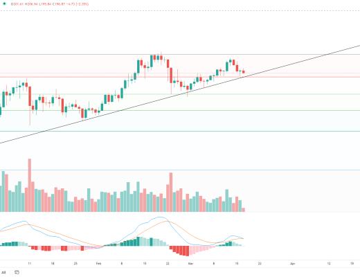 金色趋势丨BTC调整有限 分批低吸