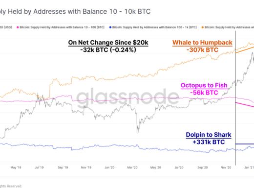 目前究竟处在牛市的哪个阶段?