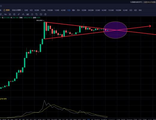 比特币阶段性调整间隙波卡赛道或接过领跑棒