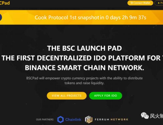 牛市不完打新不死 目前几个找新项目的IDO平台