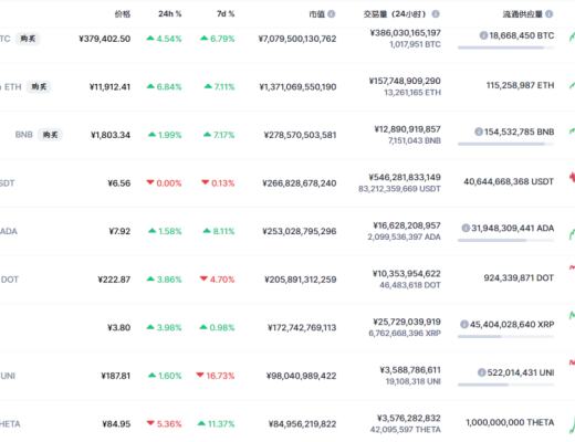 1年200倍、空降Top10 THETA究竟是什么来路？