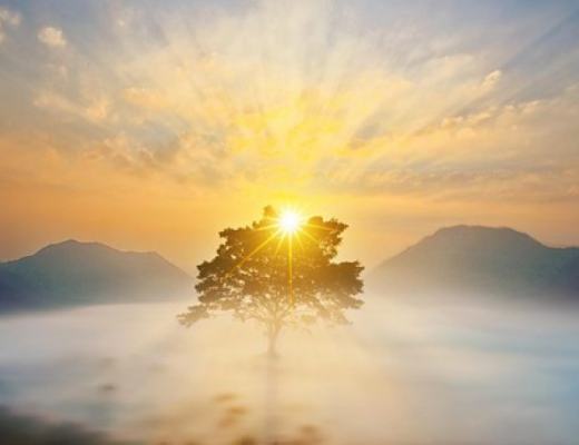 行情分析丨近6万美元的比特币依然有人看不懂, 历史车轮毫不停歇