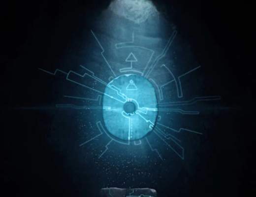 “Fei”的水下世界 游得畅快吗？