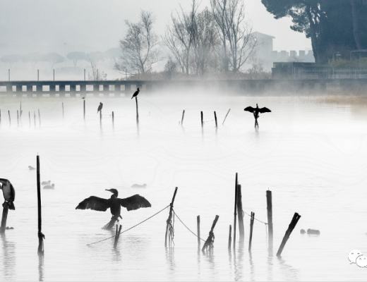一文详解加密艺术画廊交易机制