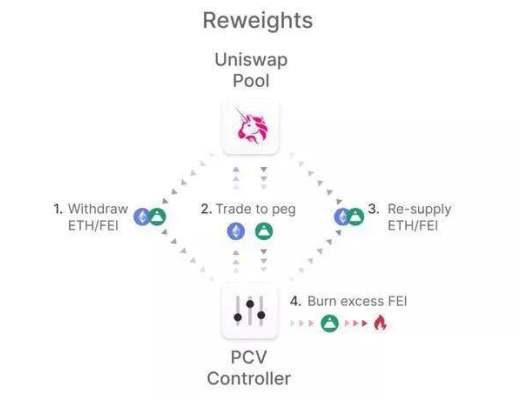 “Fei”的水下世界 游得畅快吗？