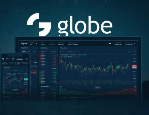 GlobeDX 项目分析报告