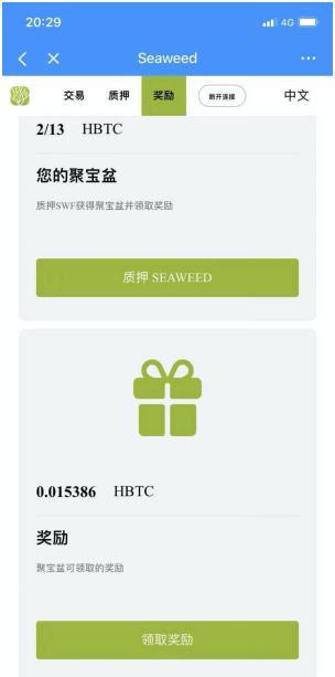 Seaweed极其“傻瓜”的期权交易项目