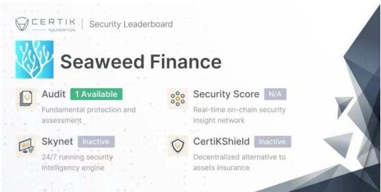 Seaweed极其“傻瓜”的期权交易项目