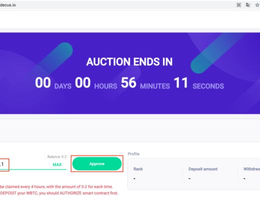 如何参加DeCus新一轮的Keeper竞拍测试?