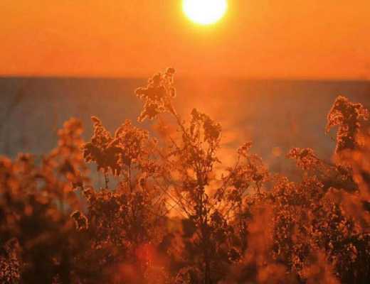 顾晚晚：比特币探底回升 还会继续下跌吗？