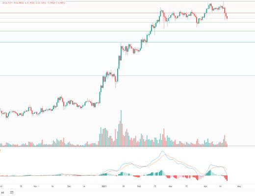 金色趋势丨BTC抓住牛市进程低吸的机会