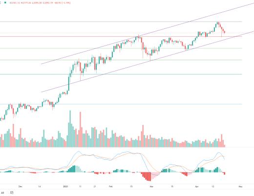 金色趋势丨BTC抓住牛市进程低吸的机会