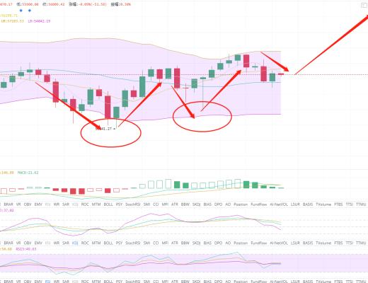 币圈机械手： “牛市”不暴涨暴跌 难道还跟你和平发育？