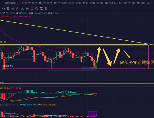 天使宠物狗狗币还有没有上车的机会?