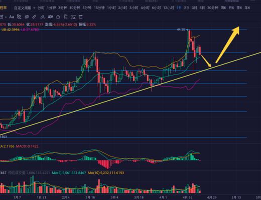 天使宠物狗狗币还有没有上车的机会?
