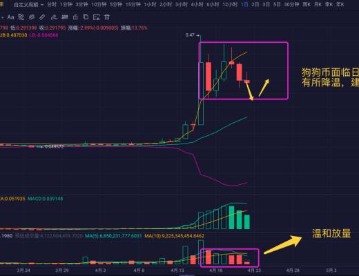 天使宠物狗狗币还有没有上车的机会?