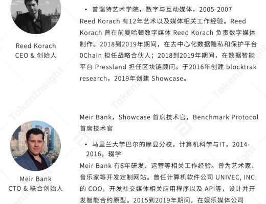 TI 评级报告 Showcase B 展望稳定