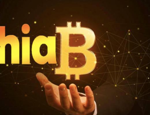 热浪袭来 Chia投资价值几何？