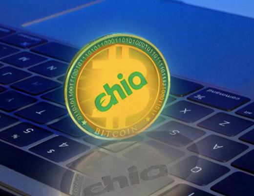 热浪袭来 Chia投资价值几何？