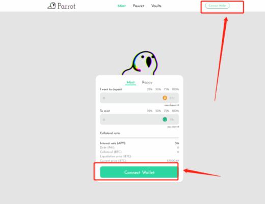 SOL生态LP 代币借贷平台Parrot测试教程