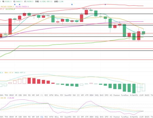 王者币圈 5.5 大饼只要震荡 主流山寨就还有一轮上涨