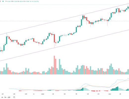 金色趋势丨与趋势为伍 自然是赢家