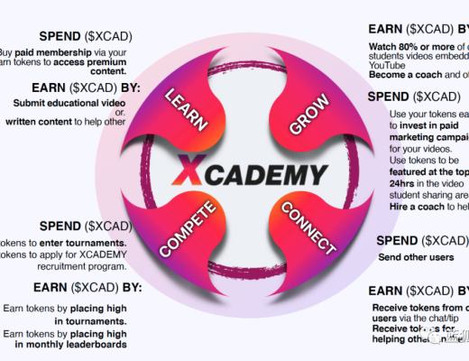 Xcademy:加密经济与视频博主的养成
