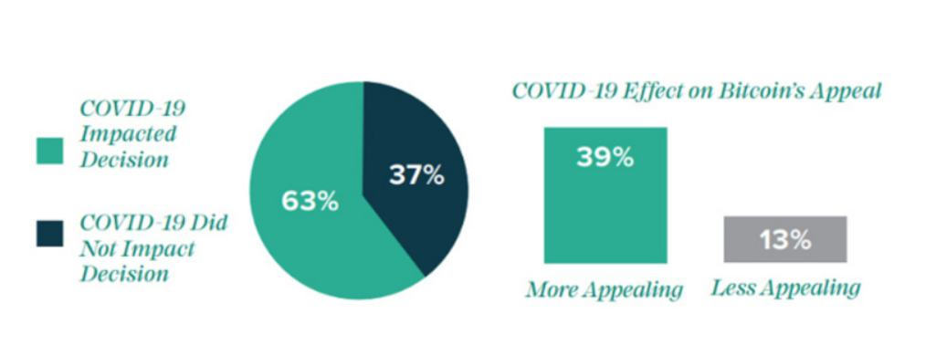 我们处在比特币牛市的哪个阶段?