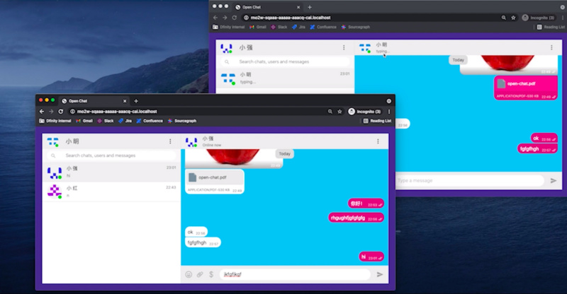 OpenChat：未来的去中心化社交应用