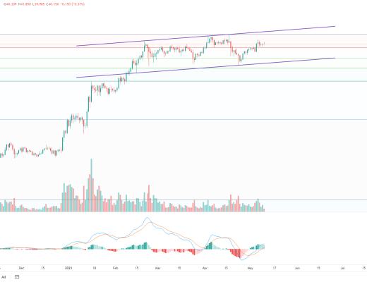 金色趋势丨牛市并未终结 抓住低吸机会