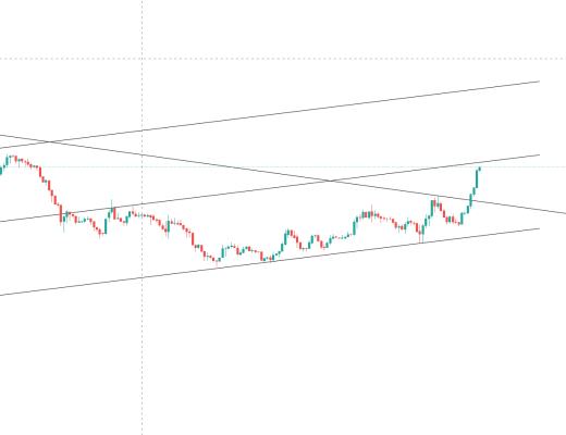 金色趋势丨牛市并未终结 抓住低吸机会