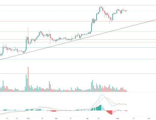 金色趋势丨牛市并未终结 抓住低吸机会