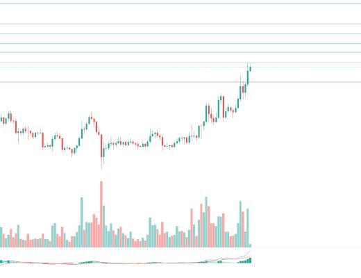 金色趋势丨牛市并未终结 抓住低吸机会