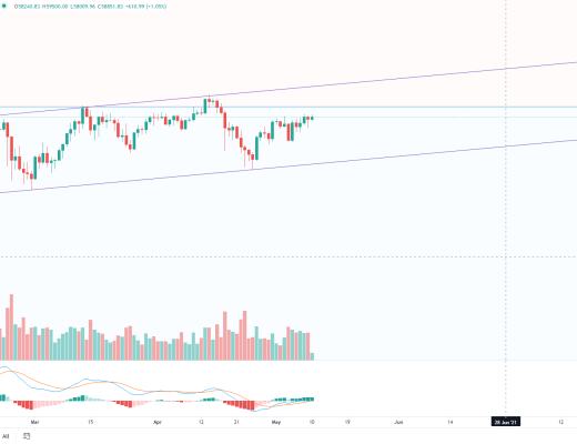 金色趋势丨牛市并未终结 抓住低吸机会