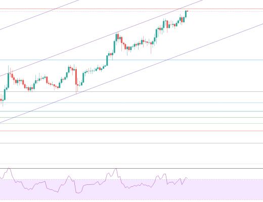 金色趋势丨牛市并未终结 抓住低吸机会