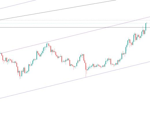 金色趋势丨牛市并未终结 抓住低吸机会