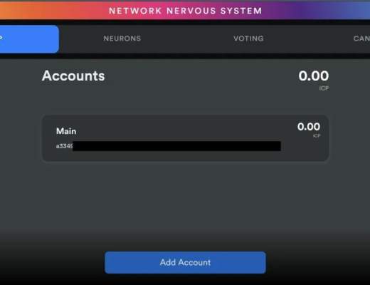 ICP 的钱包与治理软件入门