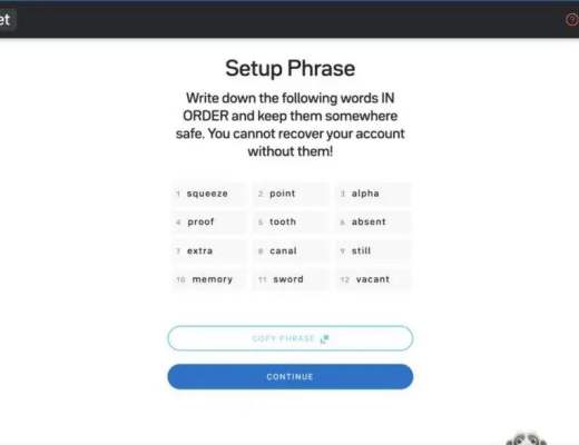 下一个空投地？Near钱包及Ref.Finance实操教程