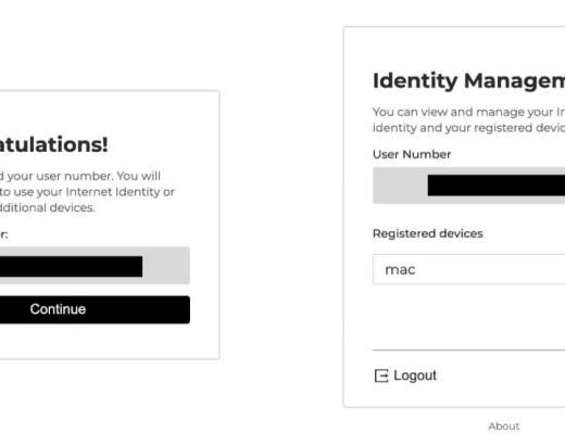 ICP 的钱包与治理软件入门
