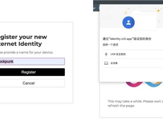 ICP 的钱包与治理软件入门