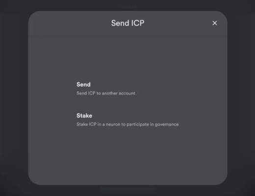ICP 的钱包与治理软件入门