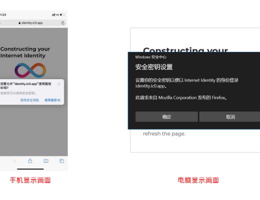 DFINITY钱包之NNS应用教程以及操作注意事项
