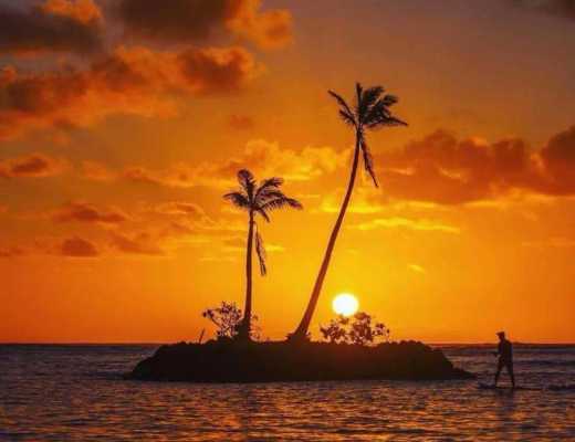 顾晚晚：比特币震荡运行 多头回暖