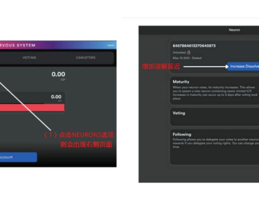 DFINITY钱包之NNS应用教程以及操作注意事项